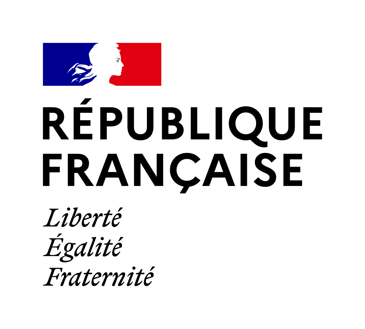 Icône République fr