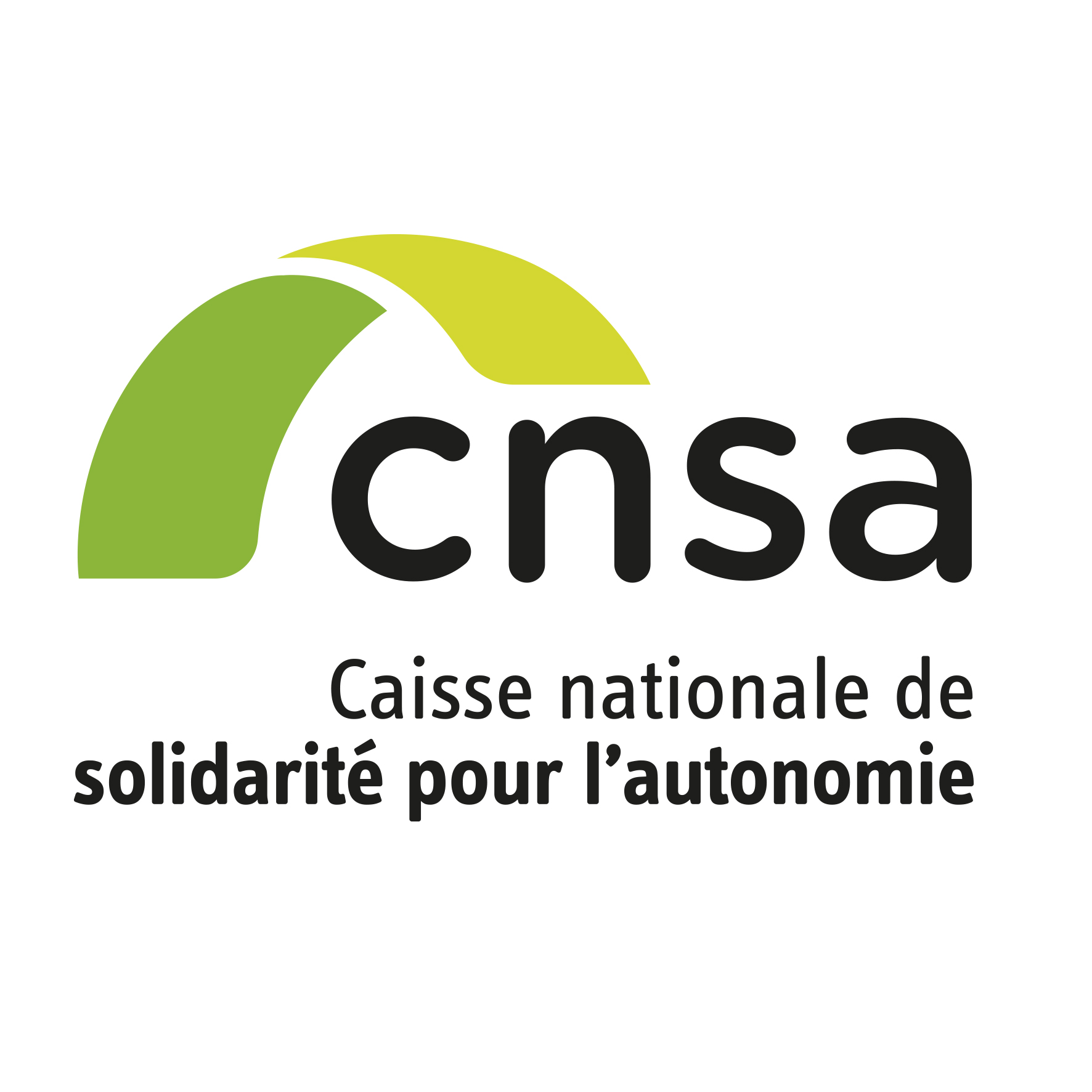 Icône cnsa